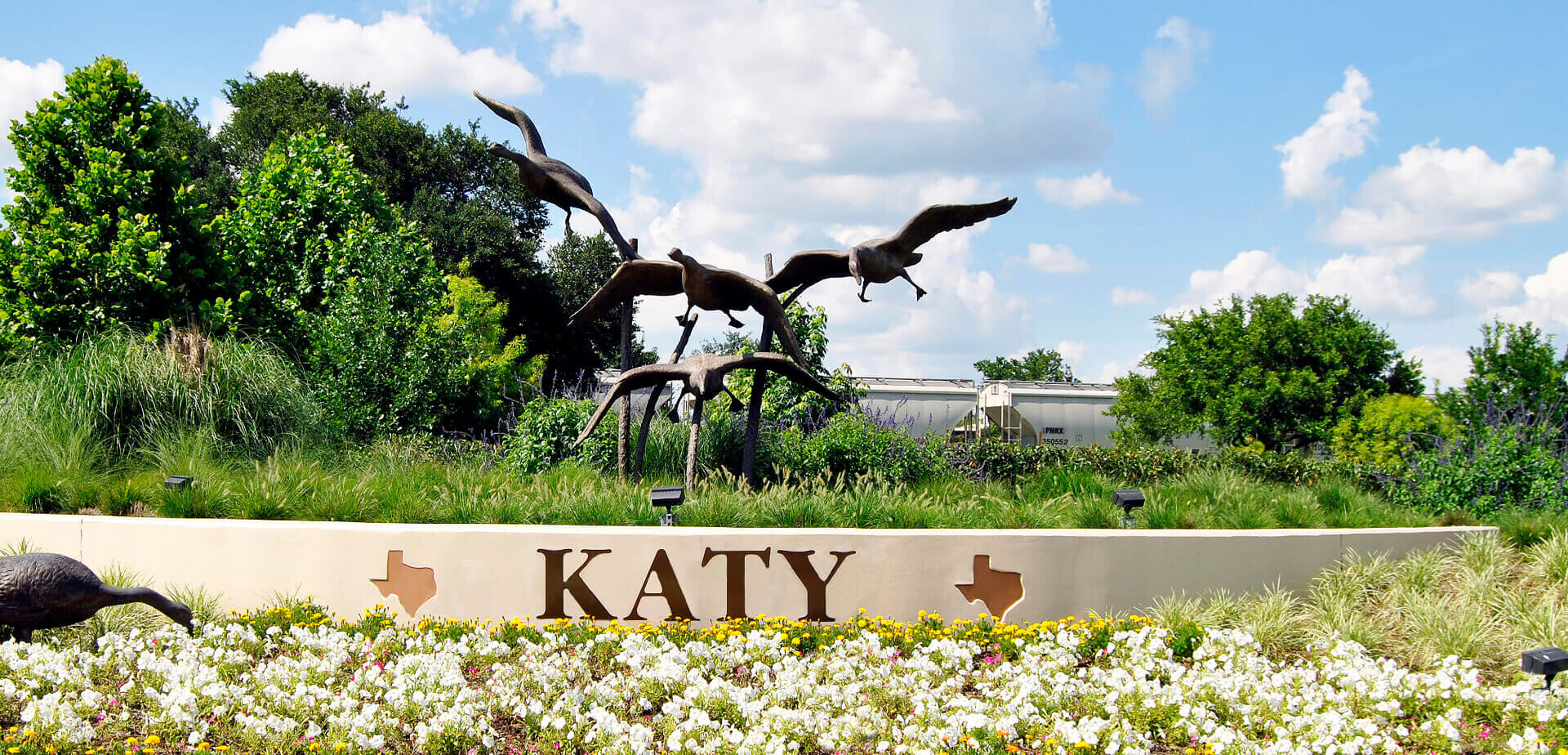 Home care services in katy